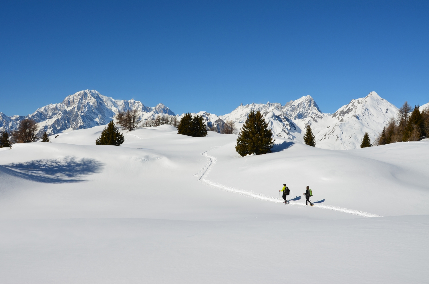 dogsledding-aosta-valley