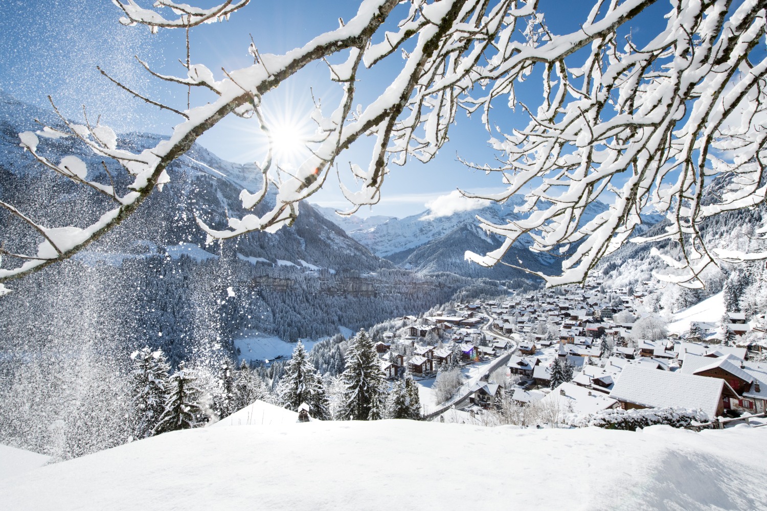 region-dents-du-midi-switzerland