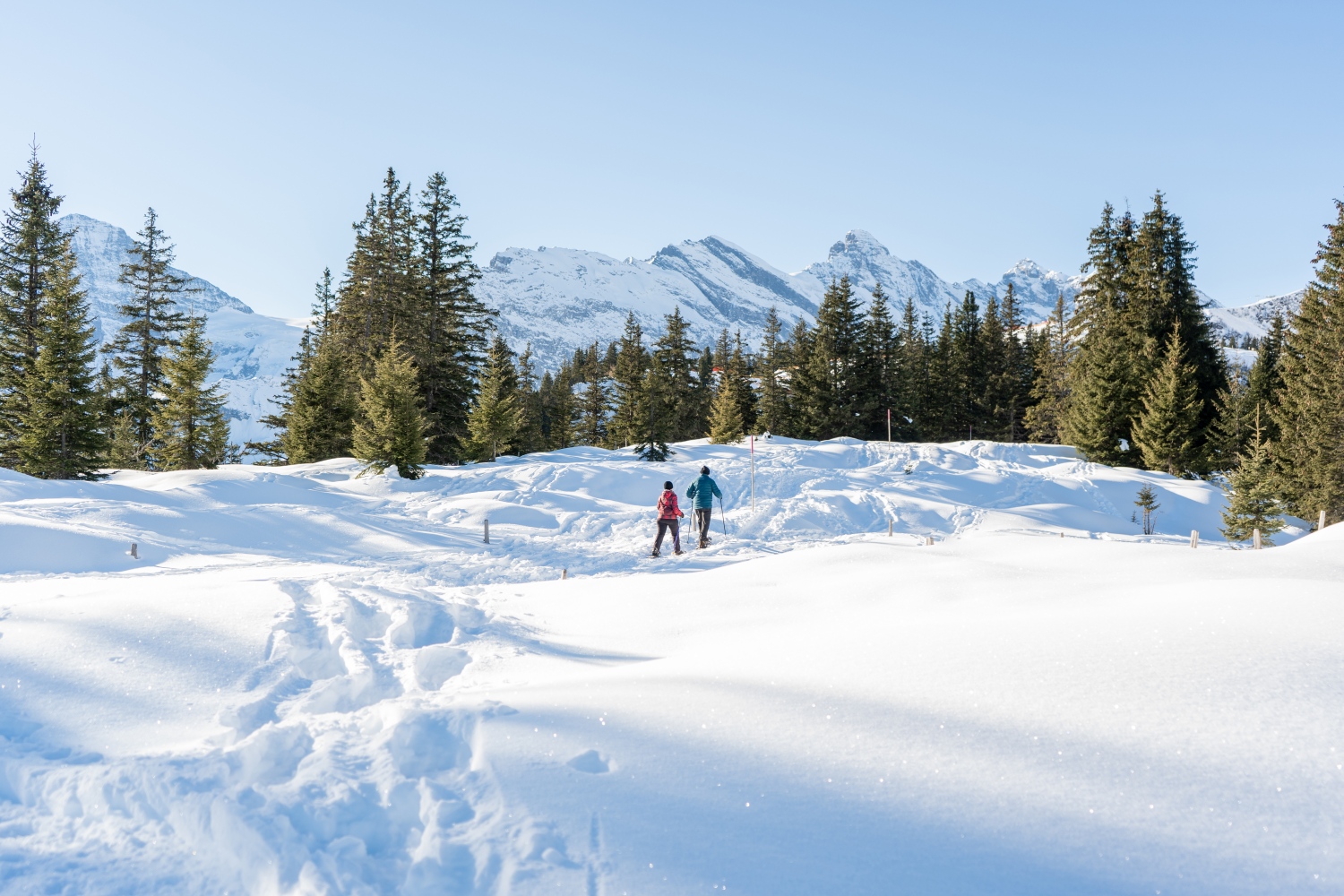 snowshoeing-murren-switzerland