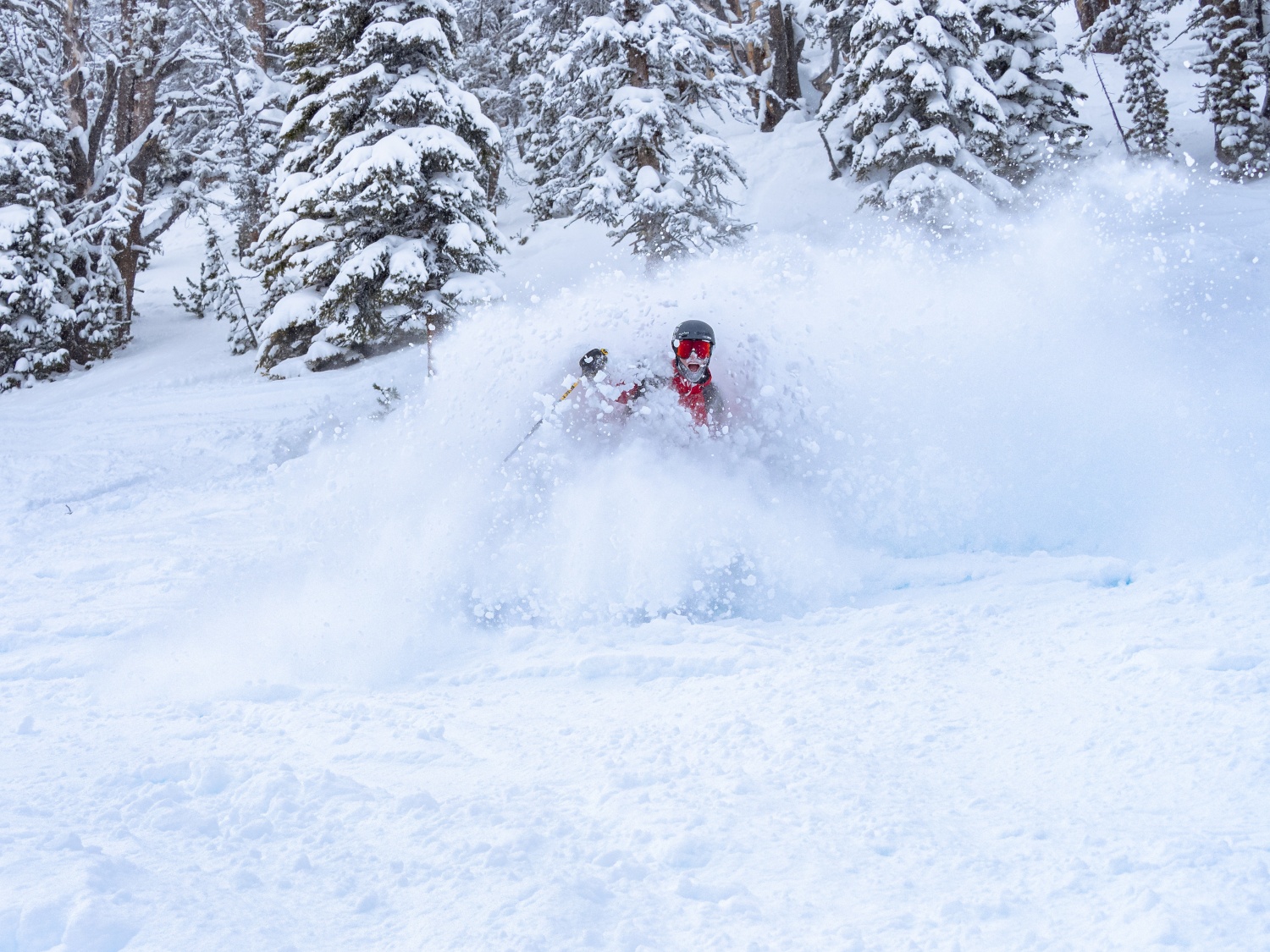 powder-skiing-kicking-horse-mountain-resort-golden