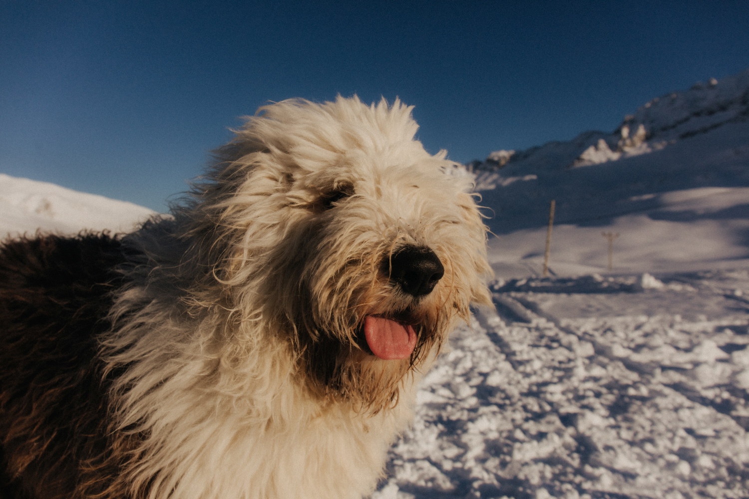 ski-touring-turkey