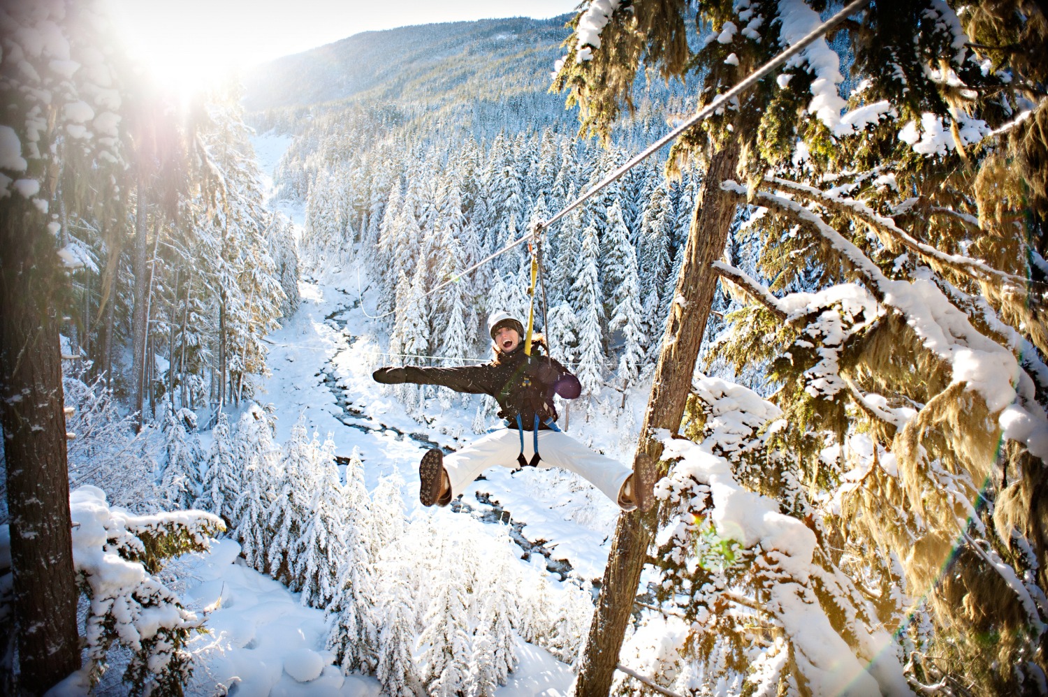 ziplining-whistler-canada