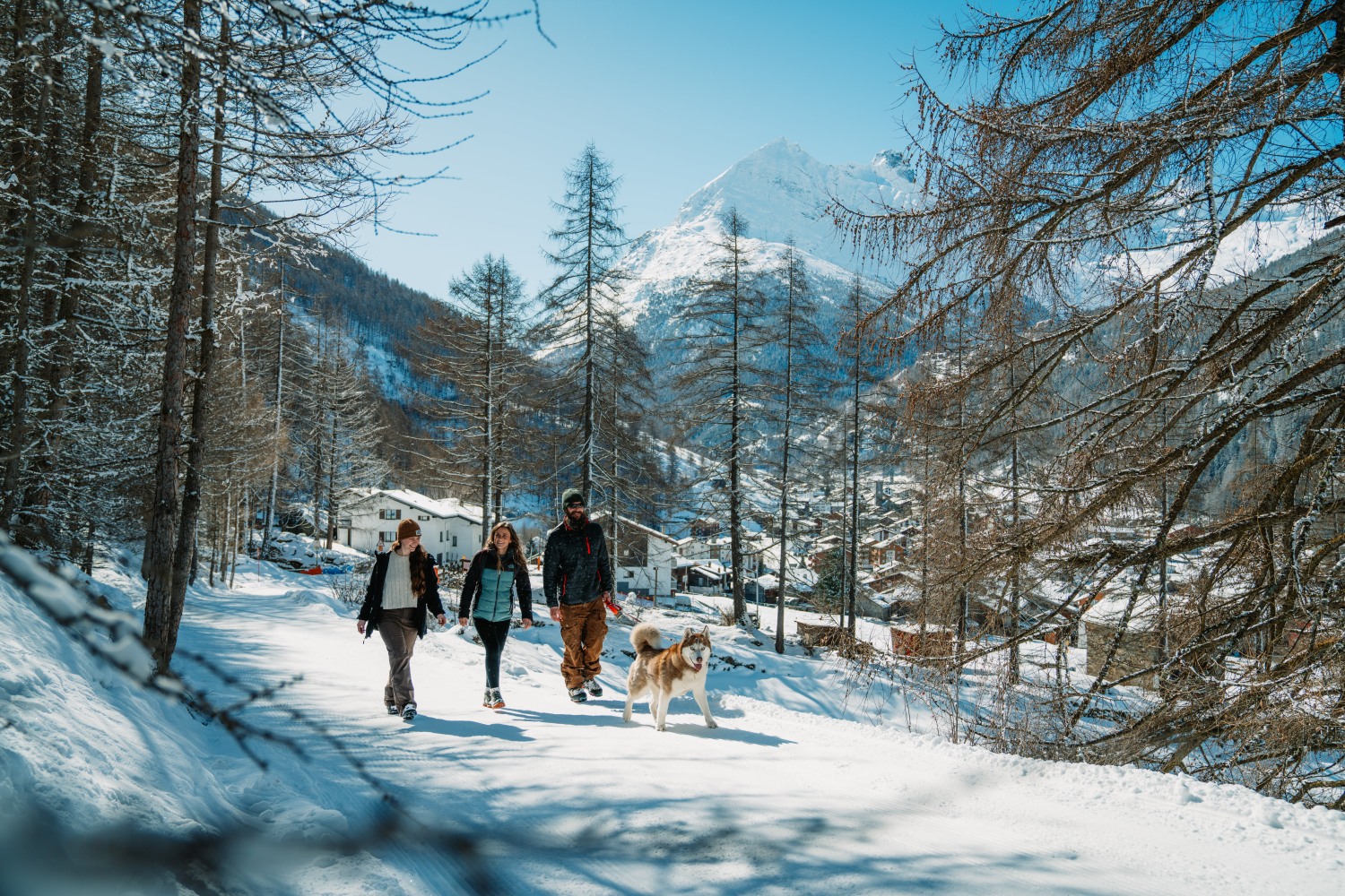 winter-hiking-saastal